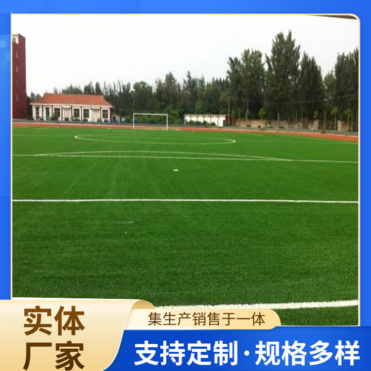 驻马店市塑胶跑道材料人造草坪 - 推荐